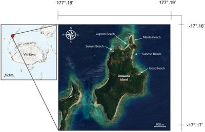 Observational data on the reproductive condition of female Oceania fantail rays, Taeniura lessoni, from Drawaqa Island, Fiji